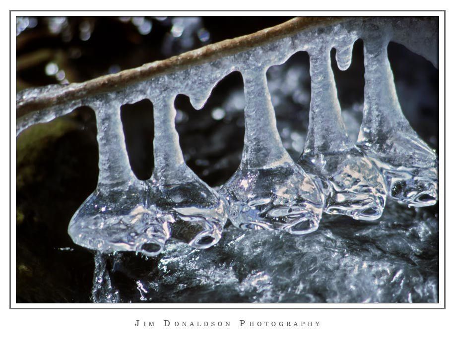 Caprichos Del Invierno. Parte I