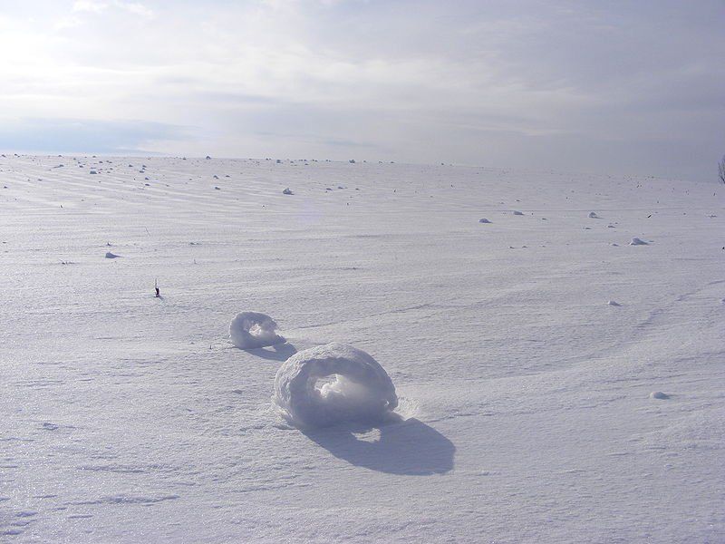 Caprichos Del Invierno. Parte I