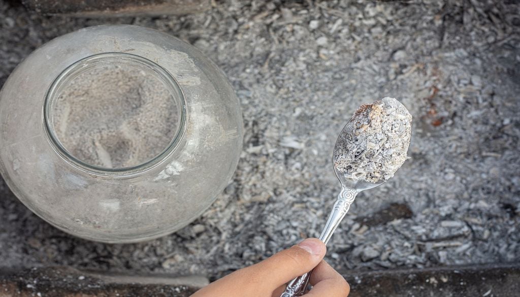 Uso de ceniza como repelente a los caracoles