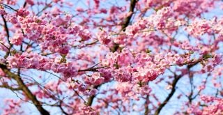 Características de la primavera astronómica de 2023