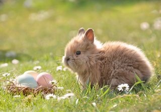 El tiempo de Pascua en Argentina: primeros indicios