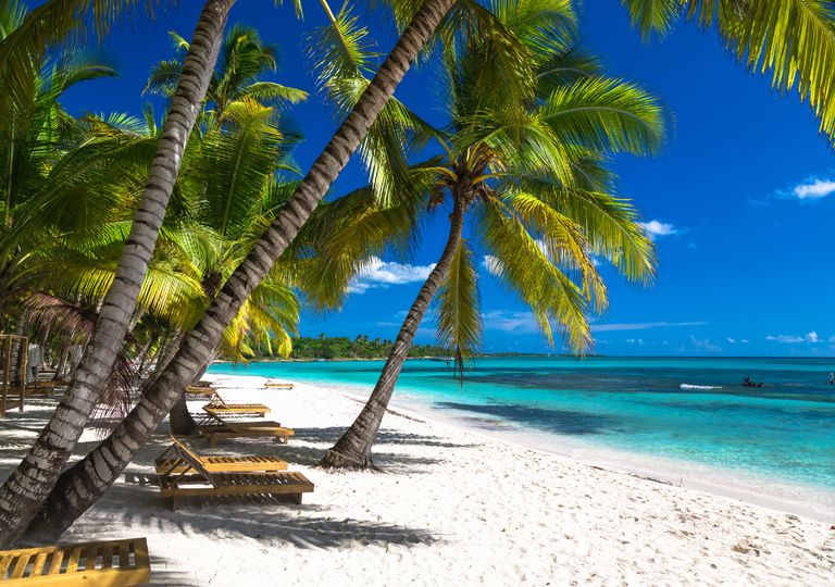 Praia tropical Praia tropical