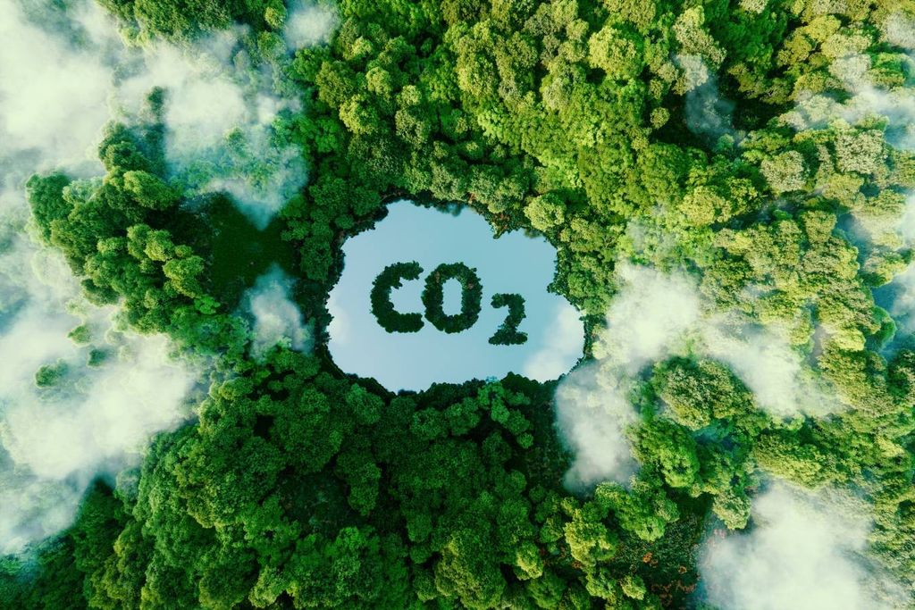 CO2 levels