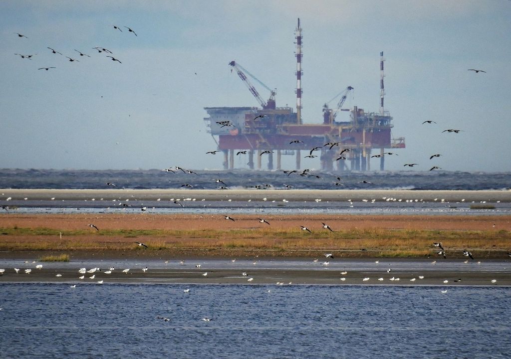 Hitzewellen waren in den Jahren 2000–2009 im Vergleich zur vorindustriellen Zeit 20-mal wahrscheinlicher – und in den Jahren 2010–2019 sogar 200-mal wahrscheinlicher.