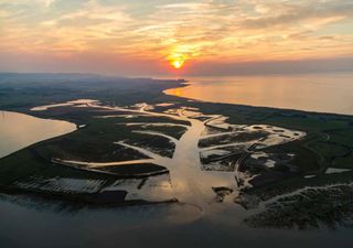 Carbono azul para o combate às Alterações Climáticas