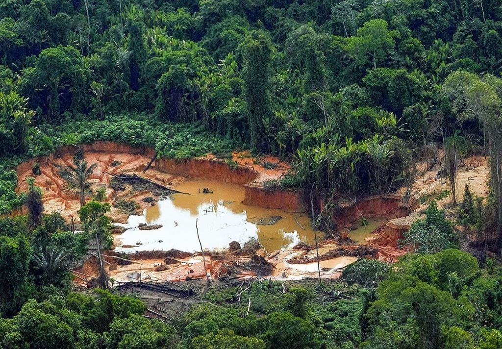 Mineração ilegal de ouro na Amazônia