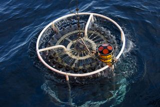 Carbono orgánico disuelto en el océano Atlántico