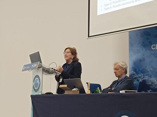 Carmen Llasat, experta en inundaciones catastr&oacute;ficas: "est&aacute; aumentando la intensidad de las lluvias en el Mediterr&aacute;neo"