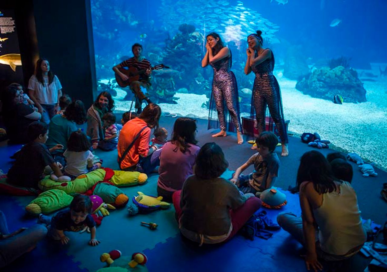 Umas férias diferentes. Foto: Oceanário de Lisboa / Pedro Pina
