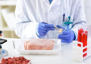 Carne feita em laboratório pode vir a ser o futuro da alimentação. Estaria disposto a provar?