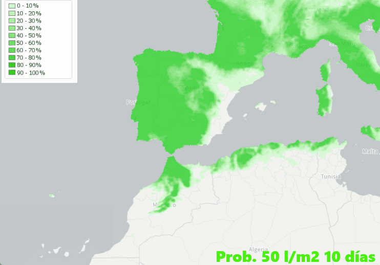 Mapas probabilísticos previstos de superación de umbrales de acumulados para los próximos 10 días, según escala de colores: los 50 l/m2 en verdes, 150 l/m2 en azul y los 300 l/m2. Glofas ECMWF