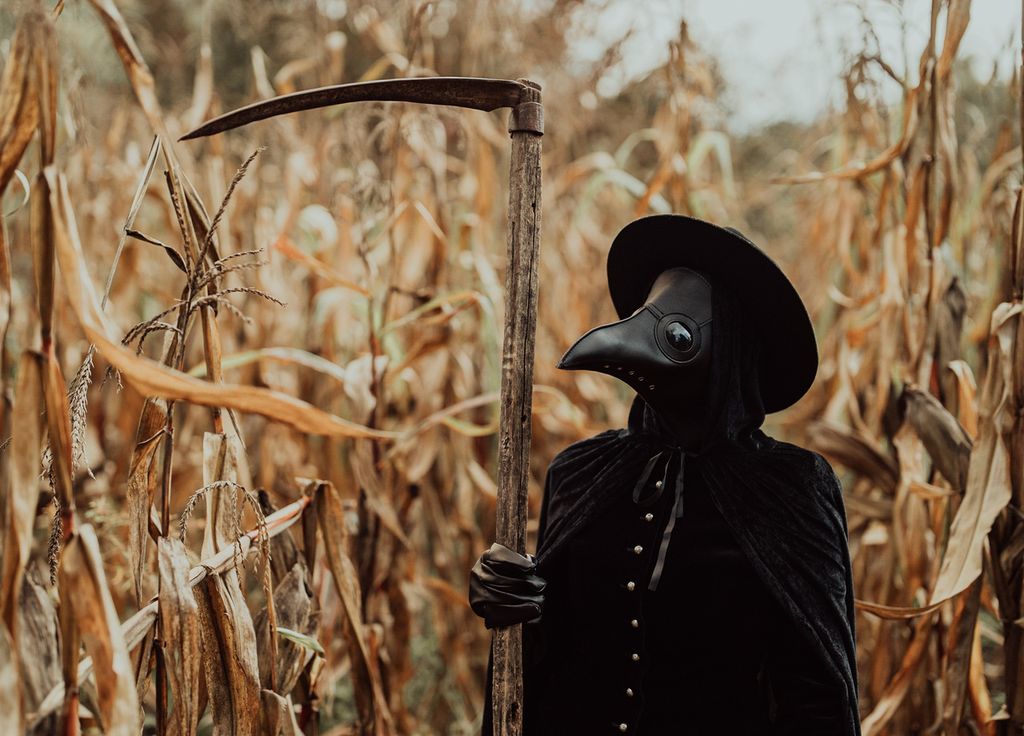 Peste Californie Mort