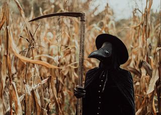 Cas de peste confirmé aux États-Unis : faut-il s'inquiéter d'un retour de cette bactérie mortelle ? 