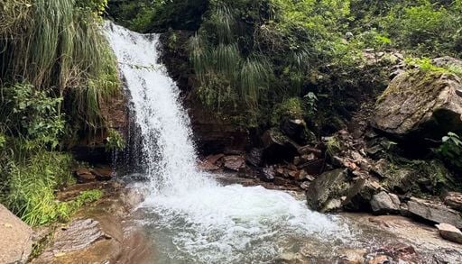 Cascada de los Pa&ntilde;os: trekking, selva y un salto doble para descubrir a media hora de Jujuy