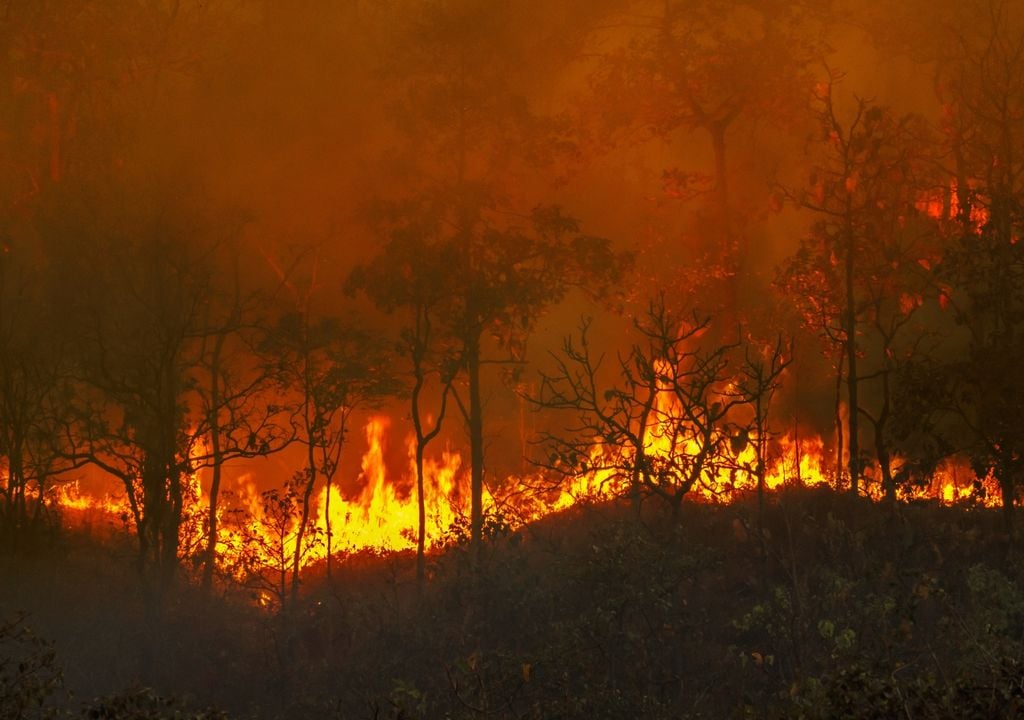Incendios fuego amazonia Amazonas Brasil récord INPE sequia