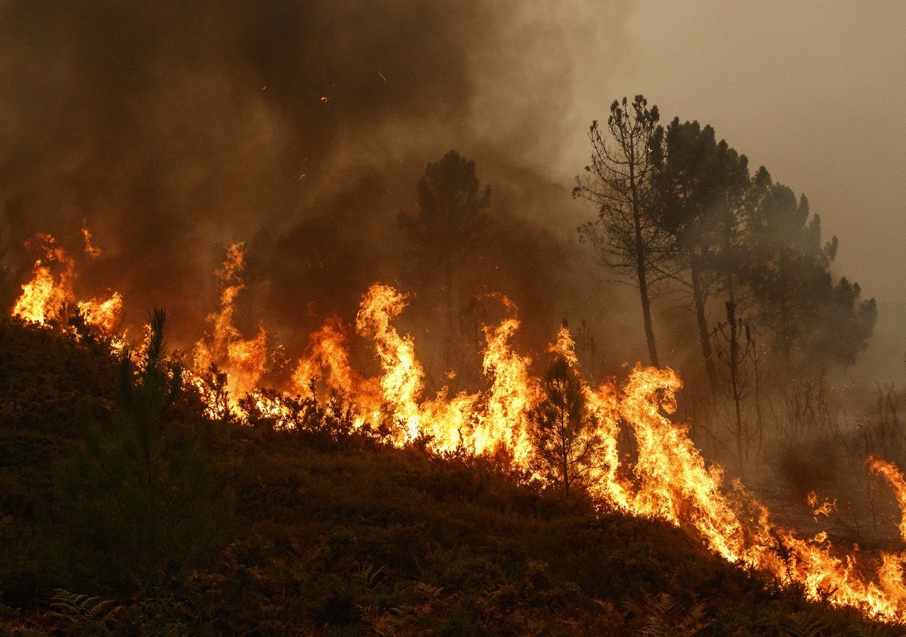 Casi 70 Mil Ha De Bosques Quemados Lleva Esta Temporada De Incendios