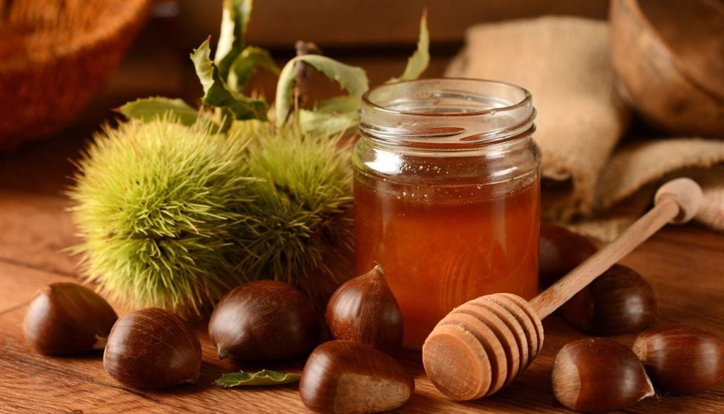 Castagne e miele di castagno, due famose eccellenze nate dai boschi del Friuli