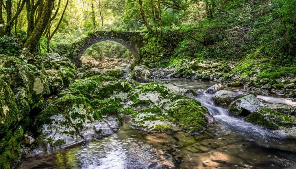 Uno dei suggestivi angoli dei boschi da esplorare nel territorio del comune di Faedis