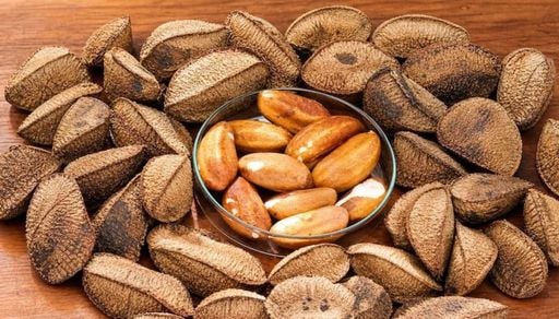 Castanha-da-amaz&ocirc;nia ind&iacute;gena de Rond&ocirc;nia recebe pagamento por servi&ccedil;os ambientais