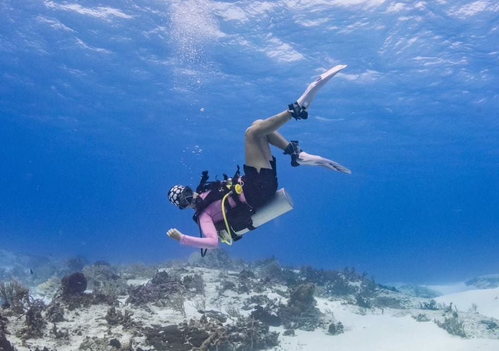 La exploradora de National Geographic y primera latinoamericana en una expedición de Pristine Seas trabaja para terminar con la "ceguera oceánica" a través de la ciencia, el arte y la educación. Créditos imagen: Instagram Catalina Velasco.