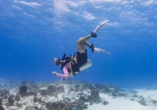 Catalina Velasco, la bi&oacute;loga chilena que bucea para contar la historia del oc&eacute;ano
