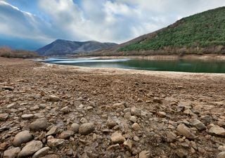 Catalunya como una zona 0 de la crisis climática por delante de Nueva Delhi, Tokio o Atenas según un estudio de Meteocat