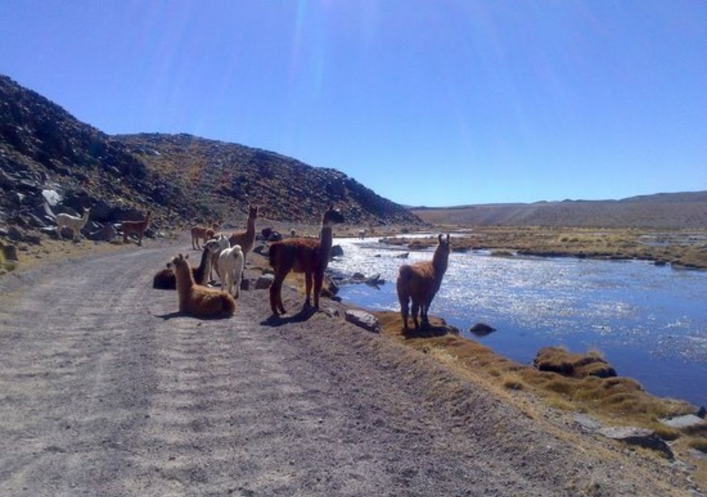 Salar del Hombre Muerto Catamarca Litio Salar del Hombre Muerto Catamarca Litio