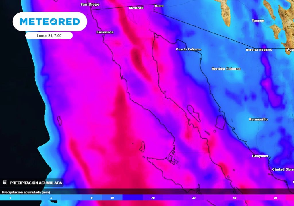 Modelo ECMWF - Acumulado de lluvias en milímetros