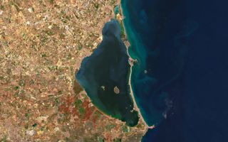 Causantes principales de la masiva mortalidad en el Mar Menor
