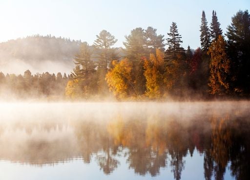 Ce dimanche 11 octobre en France : une m&eacute;t&eacute;o digne d'un plein automne ?