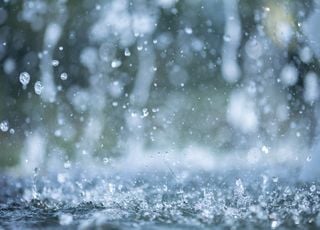 Ce retour de la pluie en France annonce-t-il une météo automnale durable ? Découvrez les prévisions météo