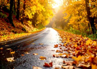 Ce temps sec et doux va-t-il persister ou bien le rail dépressionnaire sera bientôt présent ? Voici les prévisions météo