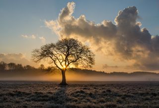 Ce week-end : le froid s'accentue dimanche