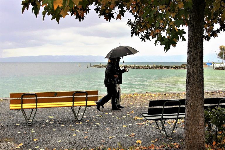 Pluie Pluie