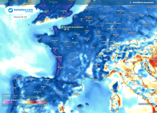 Ce week-end : retour d'un risque de gelées blanches en France ? Découvrez les prévisions météo