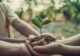 Celebra-se hoje o Dia Mundial da Terra!