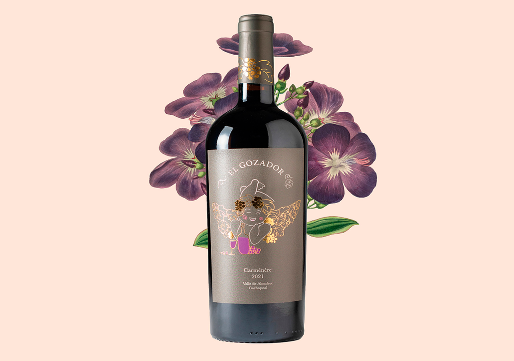 vino el gozador vino el gozador