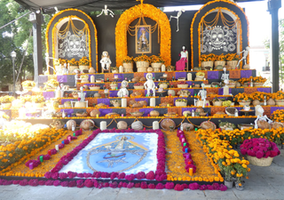 Cempasúchil, Nube y Terciopelo: descubre el significado secreto de cada flor en tu Altar de Muertos 