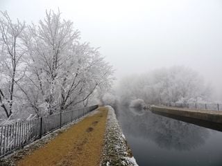 El paisaje de “Frozen” es real: la ciencia detrás de la centellada, el fenómeno que “pinta” de blanco el invierno