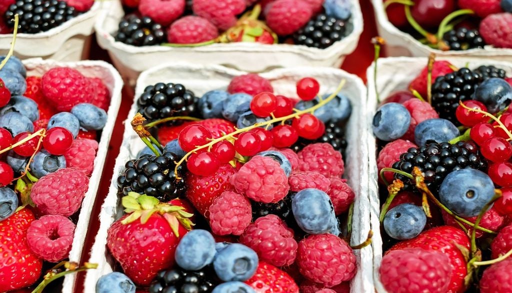 L'alimentation est l'un des principaux facteurs L'alimentation est l'un des principaux facteurs
