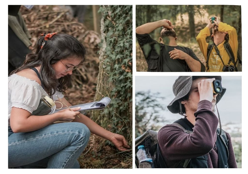 Workshops da Associação Verde Os workshops do projeto Grandes Verdes ensinam os voluntários a monitorizar e a caracterizar cada árvore, registando informações como espécie, dimensões e microhabitats. Fotos: Associação Verde