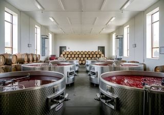 Centro de Vinificação do Vale do Douro: um investimento privado de cinco milhões de euros ao serviço dos viticultores 