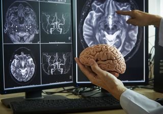Cérebro e a generosidade: estudo revela papel-chave da amígdala basolateral no comportamento social