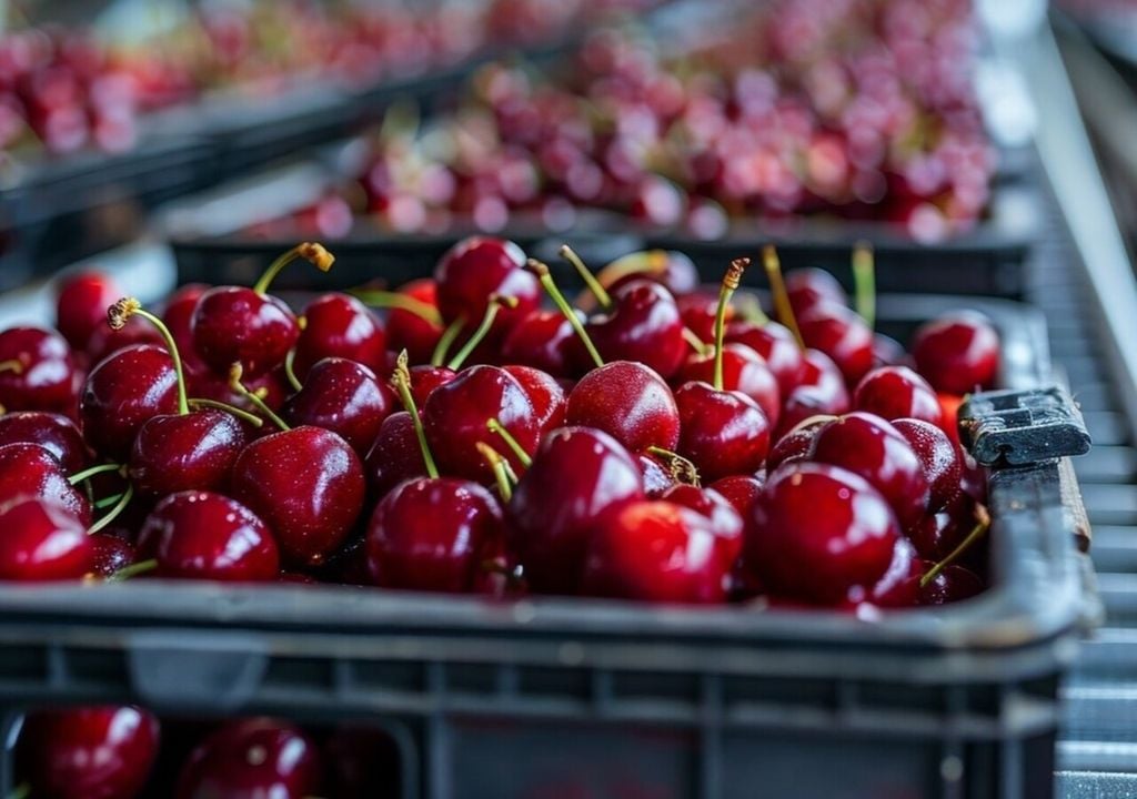 Cerezas en china