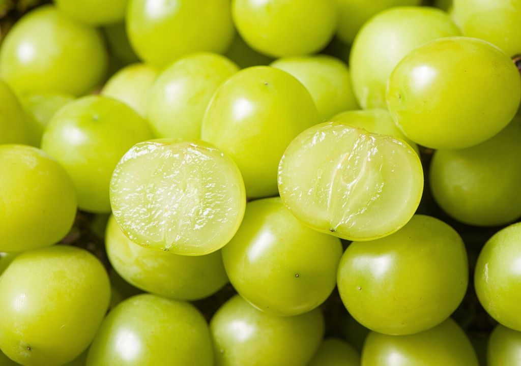 uva sin pepa uva sin pepa