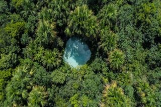 Cerrado em risco: como o avanço agrícola afeta a biodiversidade e o que fazer