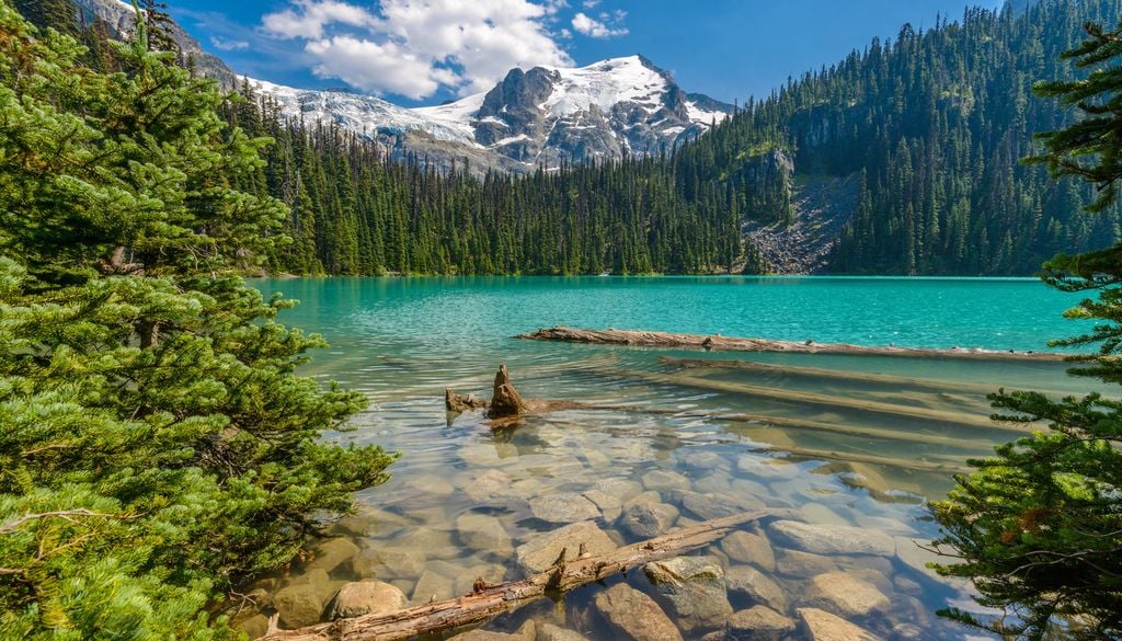 Lac Canada Montagne Foret Arbre Sapin Pin Eau Bois Ce phénomène n'est pas un cas isolé, d'autres "îles flottantes" existent un peu partout dans le monde.
