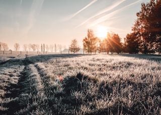 Ces prochains jours en France, les gelées sont attendues ! Découvrez si vous êtes concernés avec nos prévisions météo