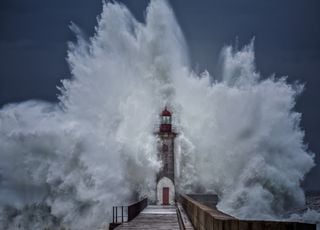Cette douceur va-t-elle être suivie par un risque de tempête en France ? Découvrez les prévisions