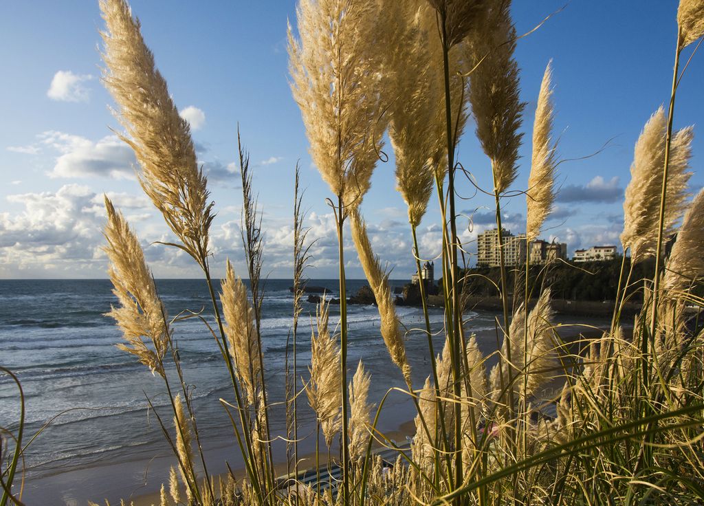 Douceur sud-ouest pays basque